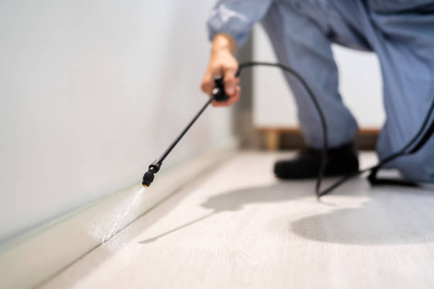 Licensed Pest Control service in Henderson County County, IL - Nex Pest Control
