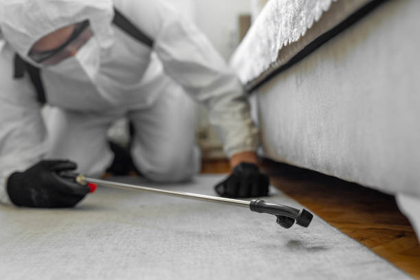 Professional Pest Control technician working in Henderson County County, IL